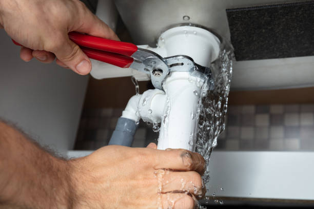 Best Water damage contractors near me  in Altamont, KS