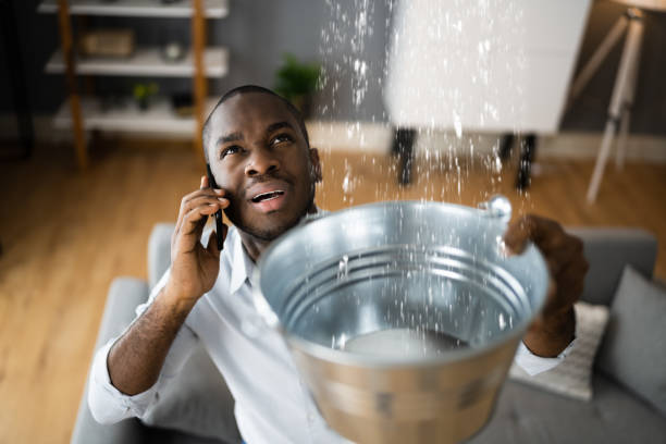 Best Flooded house restoration  in Altamont, KS