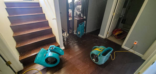 Best Water damage cleanup near me  in Altamont, KS