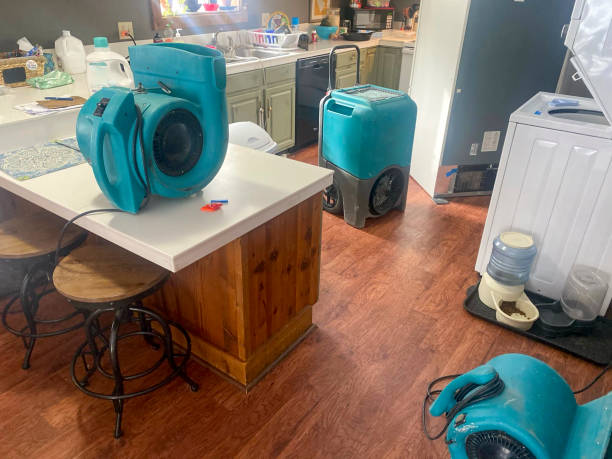 Best Flood damage cleanup  in Altamont, KS