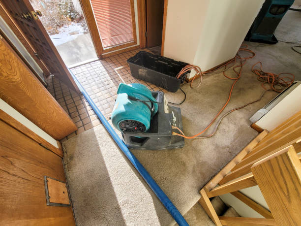 Best Professional water damage repair  in Altamont, KS