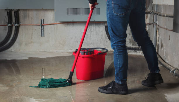 Best Sewage cleanup and water damage restoration  in Altamont, KS