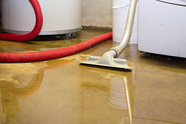 Best Water damage restoration near me  in Altamont, KS
