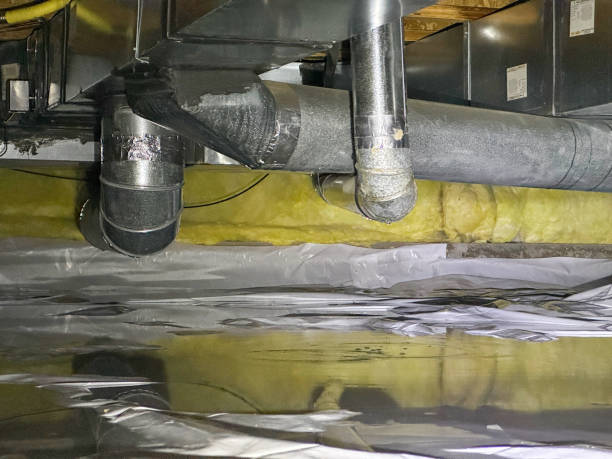 Best Basement water damage restoration  in Altamont, KS